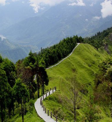 Tarey Bhir , Sikkim- Hotel Blue Tamarind